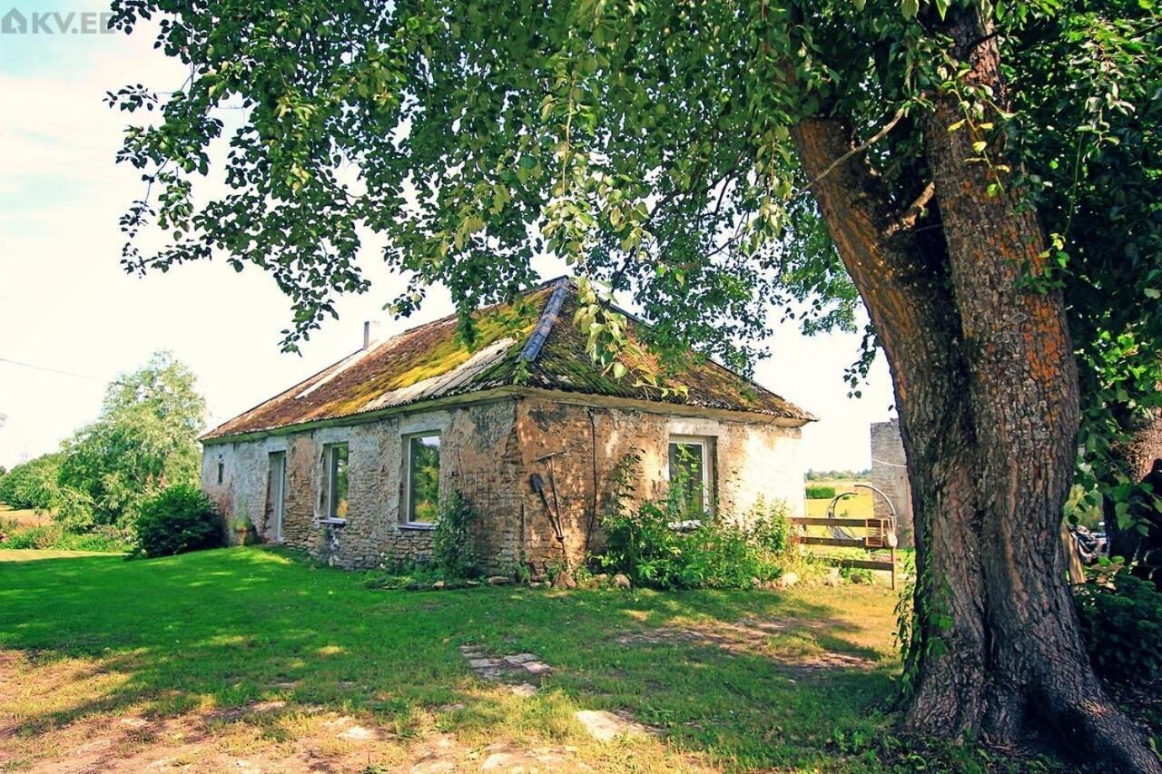 B&B Rando & Kaerdi Juures Oue Lyuganuse Exteriör bild